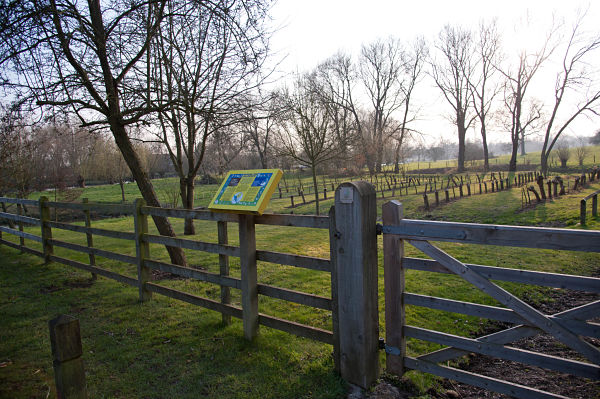 The site from the road