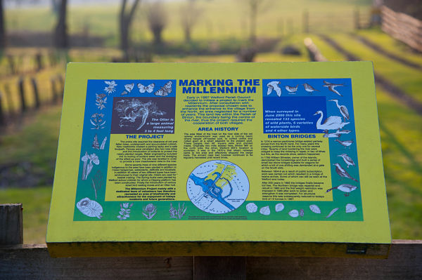 Millennium Trust Information Board