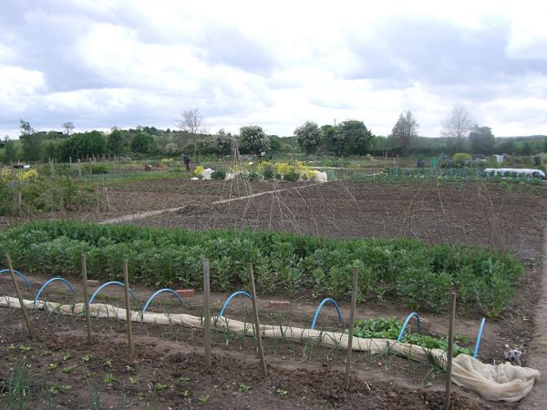 allotments